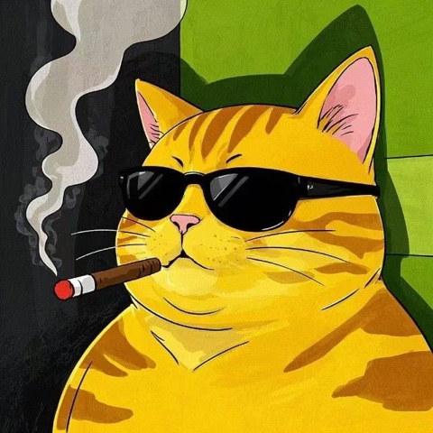 封面人物：戴墨镜叼雪茄的橘猫，韭菜喵厂长的形象